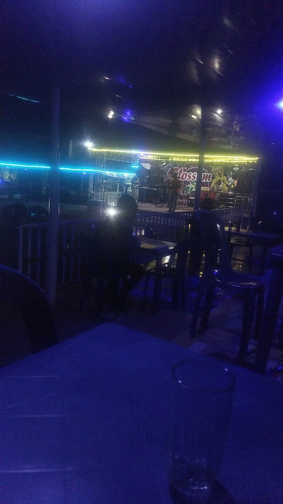 Blossom Gardens Bar and Event Center photo 2